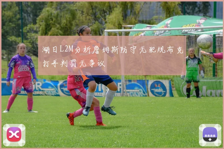 湖日L2M分析詹姆斯防守无犯规布克打手判罚无争议